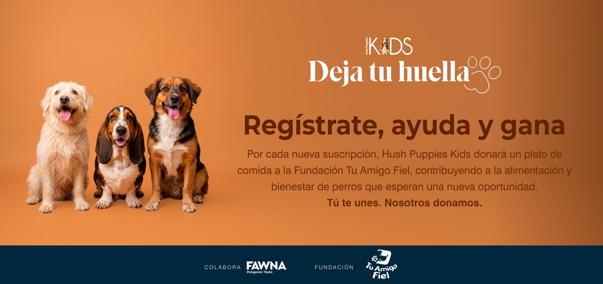 Regístrate, ayuda y gana